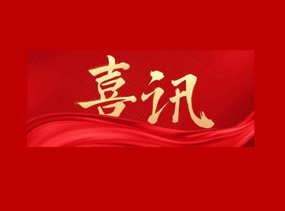 热烈祝贺浙江汉峘教育发展有限公司 荣登2021年度浙江省“人力资源服务机构-人力资源管理咨询10强”榜单